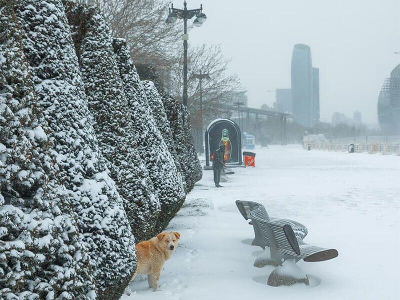 Температура упадет на 4-6 градусов, в некоторых местах выпадет снег — ПРЕДУПРЕЖДЕНИЕ