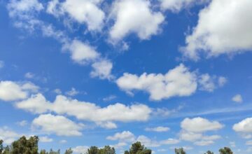 Объявлены ожидаемые погодные условия на 1 марта