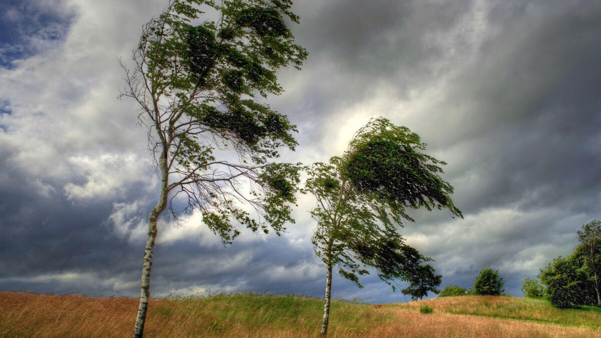 В Азербайджане наблюдается метель
