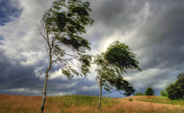 В Азербайджане наблюдается метель