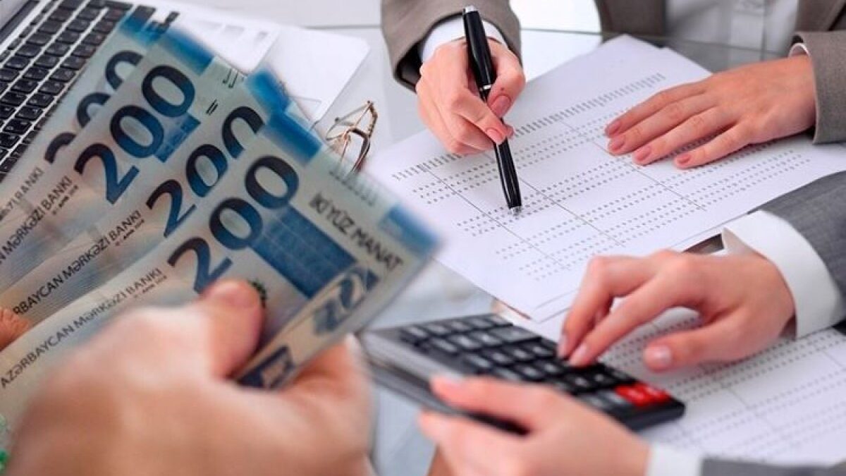 Министр: За 7 лет доля налоговых поступлений в ненефтяном секторе увеличилась на 2,2 процентных пункта