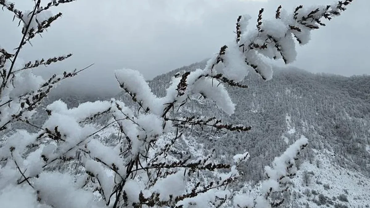Высота снега в Шахбузе достигла 41 см – ФАКТИЧЕСКАЯ ПОГОДА