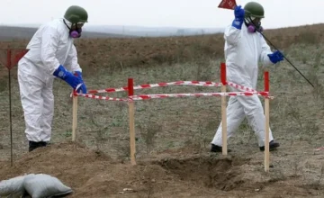 В 2026 году планируется разминировать более 65 тысяч гектаров территории