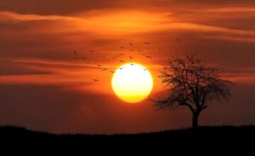 Последние 11 лет вошли в историю как самые жаркие годы