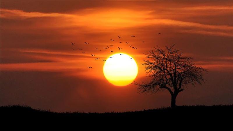 Последние 11 лет вошли в историю как самые жаркие годы