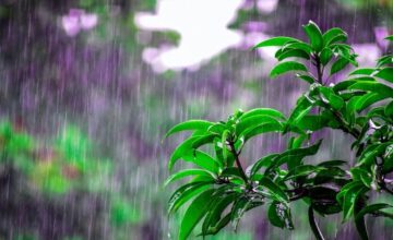 Завтра в некоторых местах пройдут дожди