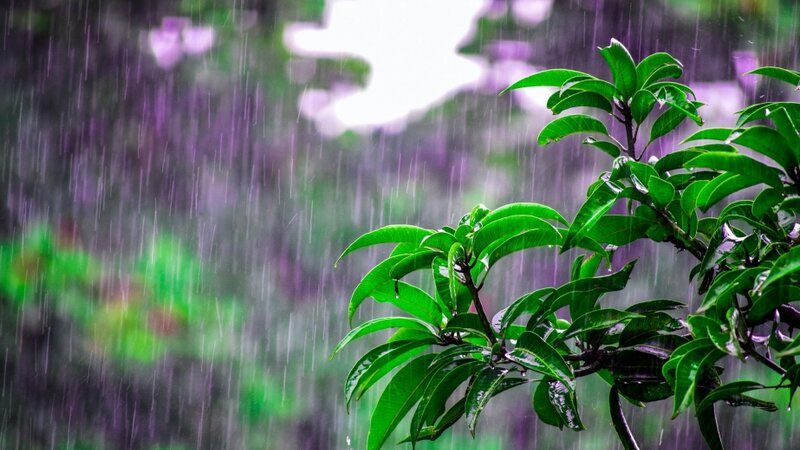 Завтра в некоторых местах пройдут дожди