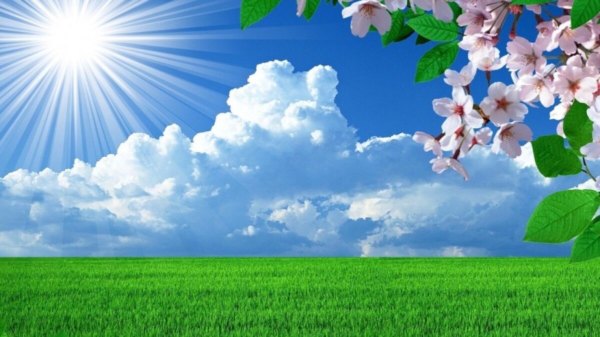 1 апреля будет 25 градусов тепла