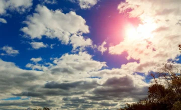 Завтра в Баку будет 10 градусов тепла, в горных районах выпадет снег