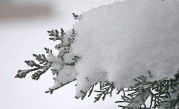 Ожидается снег – ПРЕДУПРЕЖДЕНИЕ