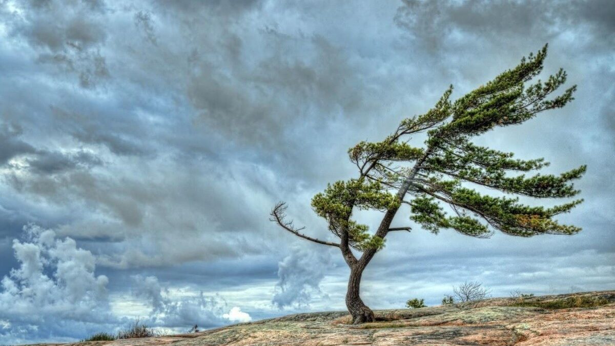 В Баку и регионах усилится ветер – ПРЕДУПРЕЖДЕНИЕ