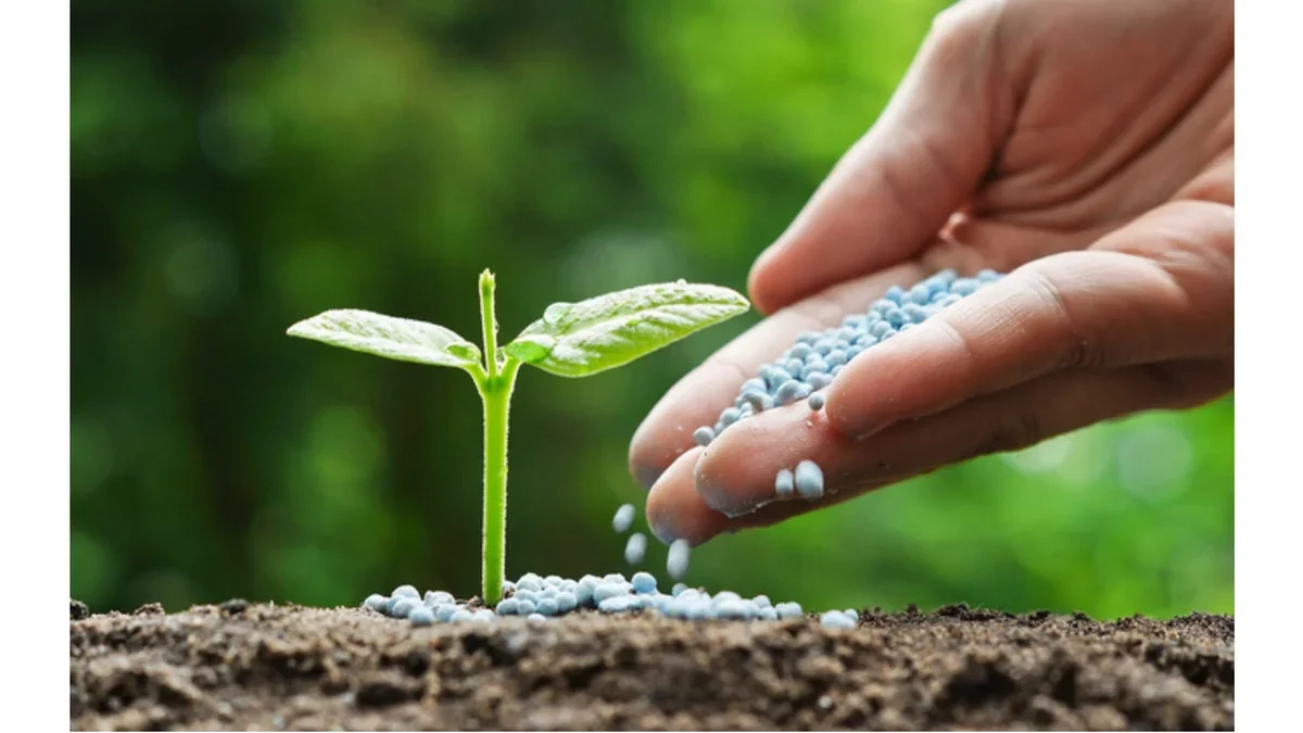 Азербайджан увеличил поставки удобрений из Грузии в 16 раз