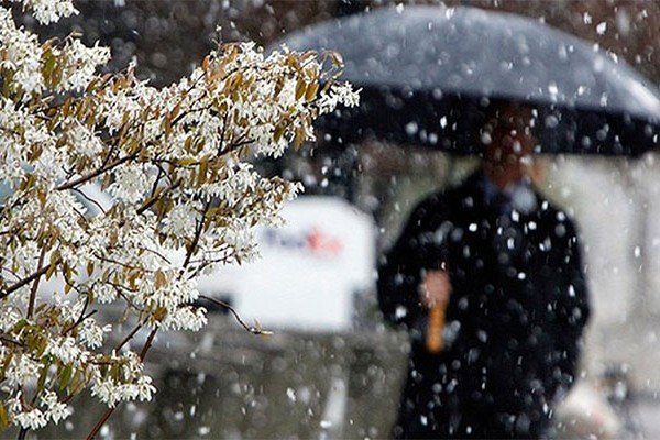 Дождливая погода продолжается – ФАКТИЧЕСКАЯ ПОГОДА