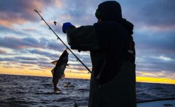 В акватории Каспийского моря будет введен сезонный запрет на вылов рыбы