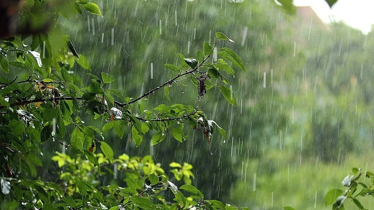 В ряде районов прошли дожди, в Шахдаге выпал снег – ФАКТИЧЕСКАЯ ПОГОДА