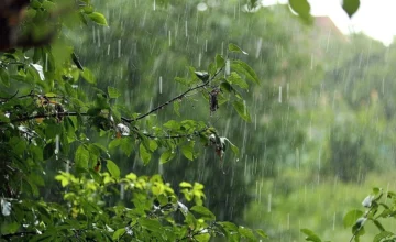 В ряде районов прошли дожди, в Шахдаге выпал снег – ФАКТИЧЕСКАЯ ПОГОДА