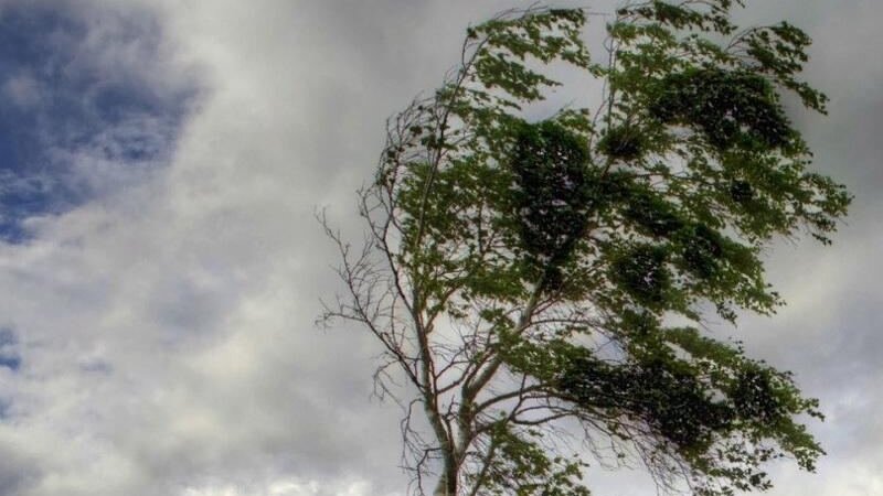 Завтра скорость ветра усилится до 28.4 м/с ПРЕДУПРЕЖДЕНИЕ