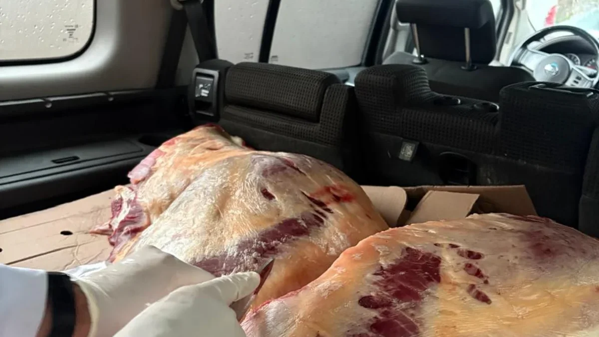 Обнаружено 227 кг непригодного для потребления конины