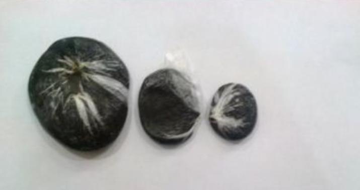 Полиция обнаружила более 44,3 килограмма наркотических средств