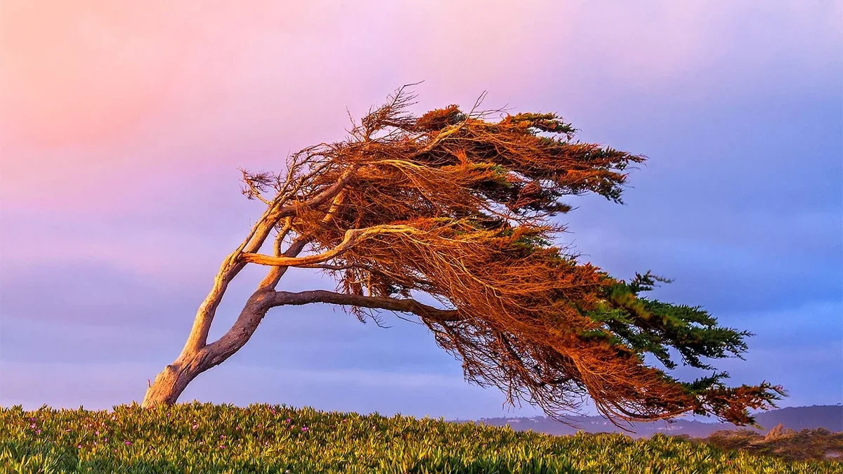 ФАКТИЧЕСКАЯ ПОГОДА: В Баку и на Абшеронском полуострове усилился ветер