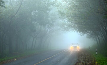 Завтра на магистральных автомобильных дорогах видимость будет ограничена до 300-800 метров