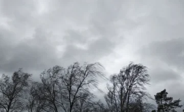 Фактическая погода: в Баку и на Абшеронском полуострове усилилась скорость ветра