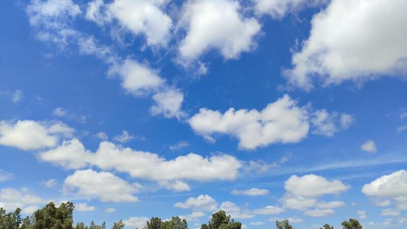 Объявлен прогноз погоды на завтра