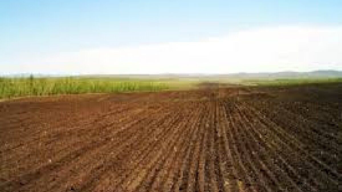 На освобожденных территориях подписаны новые договоры аренды земли