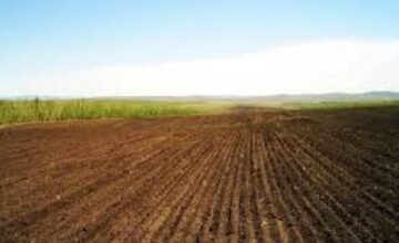 На освобожденных территориях подписаны новые договоры аренды земли