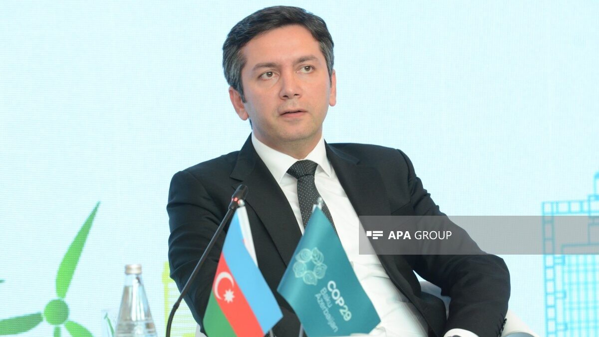 Ялчин Рафиев: Отношения Азербайджана с Африкой значительно расширились