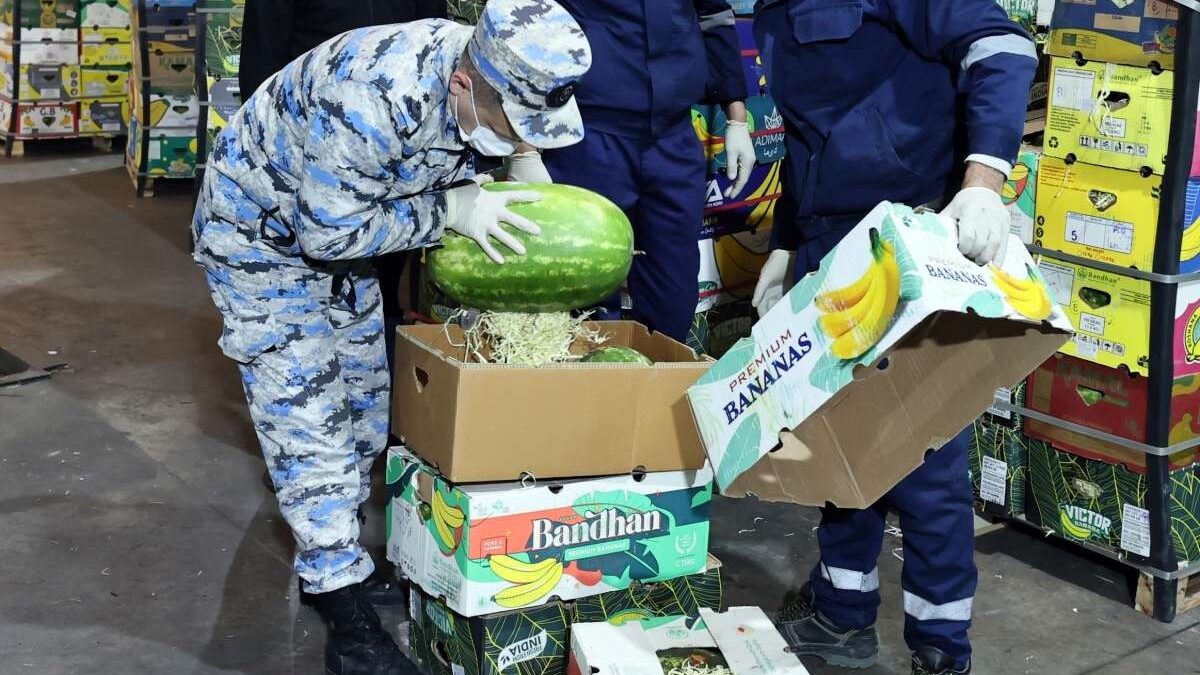 В грузе «арбузов» обнаружен 31 кг наркотиков – Фото