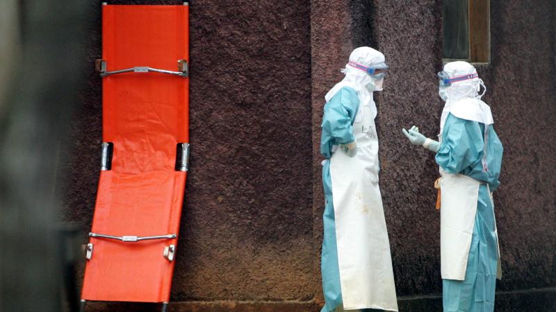 Аргентина расследует источник распространения хантавируса на круизном лайнере