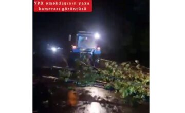 Дорожная полиция: Дерево упало на дорогу, возникли трудности в движении автомобилей