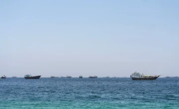 США уведомили Иран о планируемой операции в Ормузском проливе
