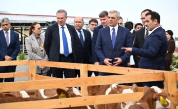 В Ходжалы состоялось ознакомление с животноводческим комплексом