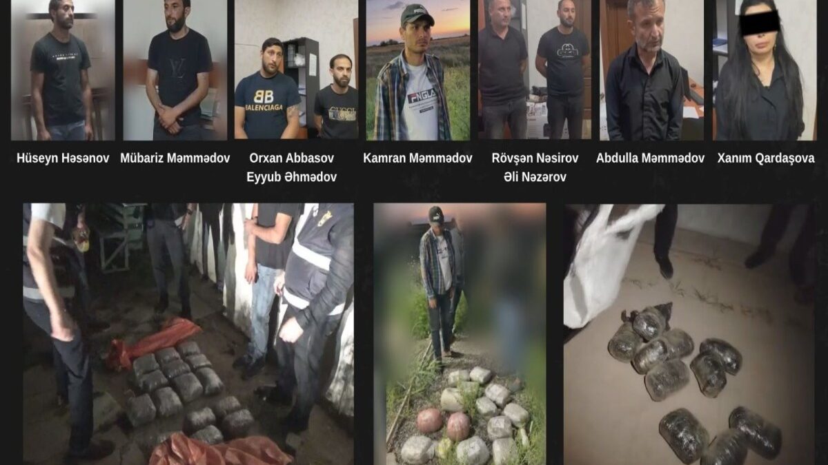 МВД: изъято 46 кг наркотических средств, 9 человек арестованы – ВИДЕО