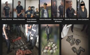МВД: изъято 46 кг наркотических средств, 9 человек арестованы – ВИДЕО