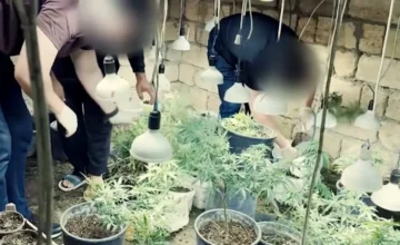 В Новханы обнаружен наркобункер