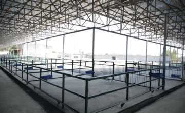 В поселке Бина начал функционировать новый животноводческий рынок