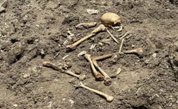 В Агдаме во время раскопок обнаружены останки, похожие на человеческий скелет