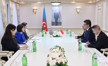 Председатель Милли Меджлиса приняла посла Индонезии в нашей стране