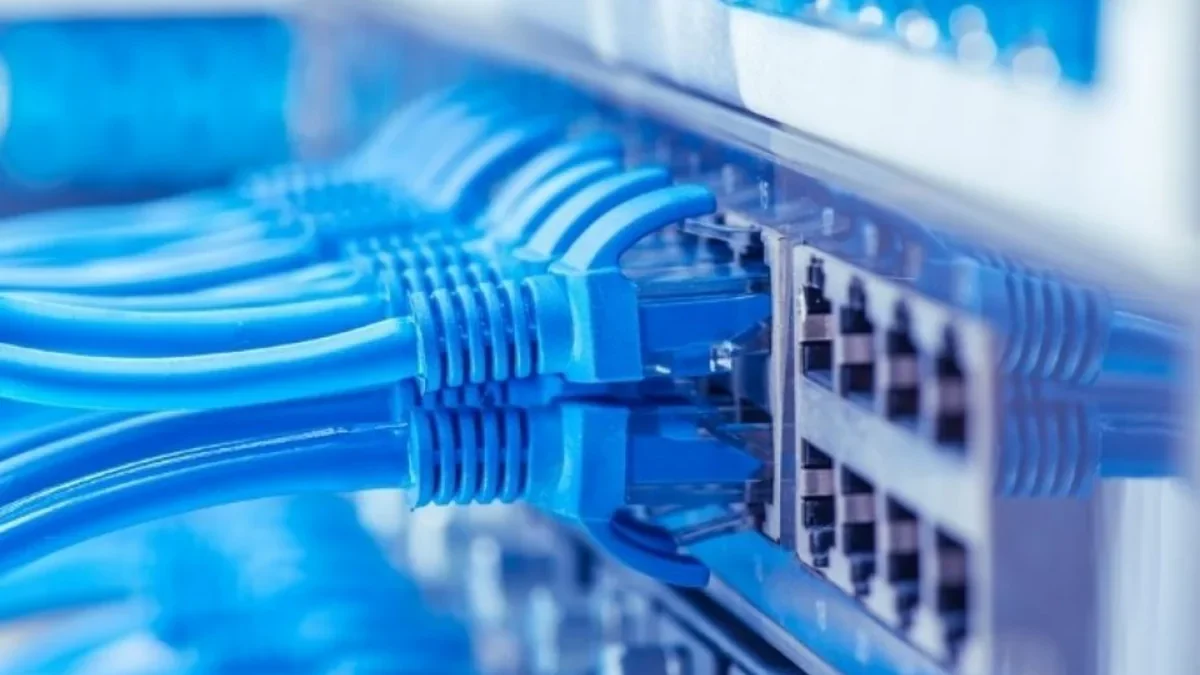 Доля ботов в интернет-трафике Азербайджана резко сократилась