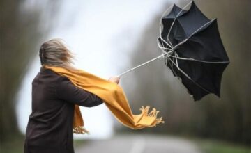 Объявлено желтое предупреждение в связи с ветреной погодой