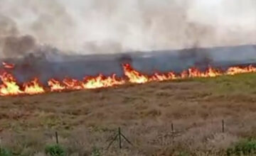 Официальное лицо АФФА получило назначение на матч «Лудогорец» – «Хапоэль»