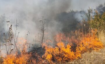 В селе Кенгерли Агдамского района произошел пожар на открытой местности