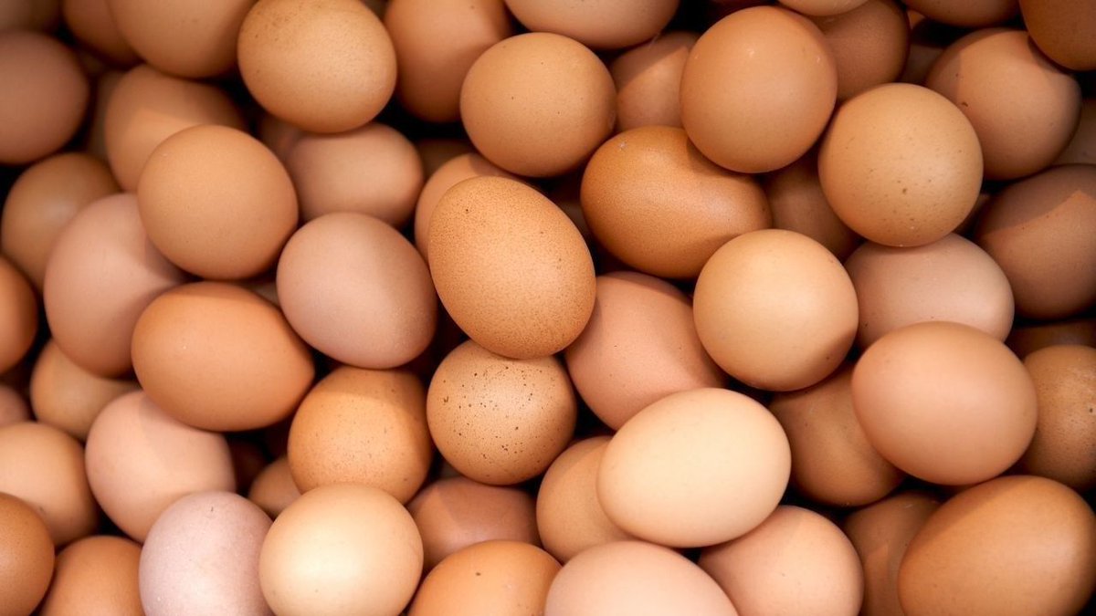 Подозрение на смертельную сальмонеллу в яйцах! Тонны продукции отозваны