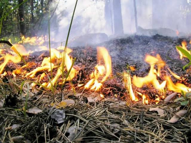 Обращение к населению в связи с угрозой лесных пожаров…