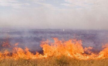 В Агдамском, Физулинском и Джебраильском районах начались пожары на открытых территориях