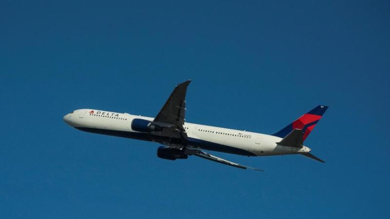 Самолет Delta был сбит фейерверком
