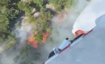 В Турции начались лесные пожары